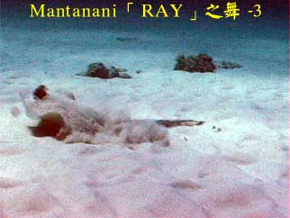 Mantanani「RAY」之舞 - 3