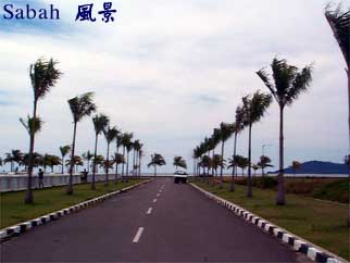 Sabah 風景