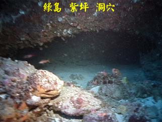 綠島 紫坪 洞穴